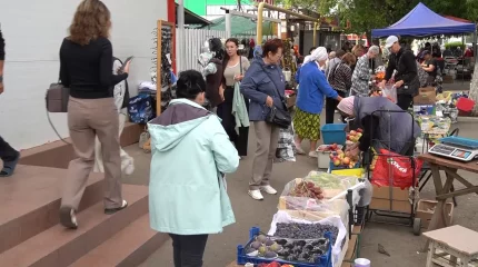 В ЗКО подешевели овощи, фрукты и бахчевые культуры