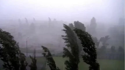 Бүгін найзағай ойнап, дауыл тұрады