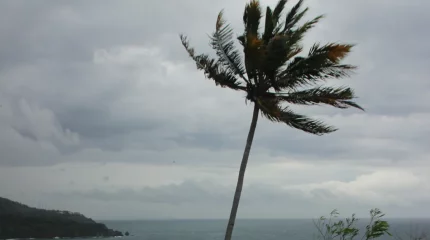 «Тапа» тайфуны Қытайдың Гуандун провинциясының жағалауына жетті