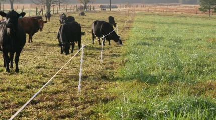 7,5 млн гектаров уже возвращенных земель простаивают, - Ерлан Саиров