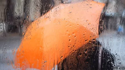 Алдағы бірнеше күнде жаңбыр жауады