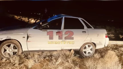 Девушка погибла в аварии с лошадью на мангистауской трассе