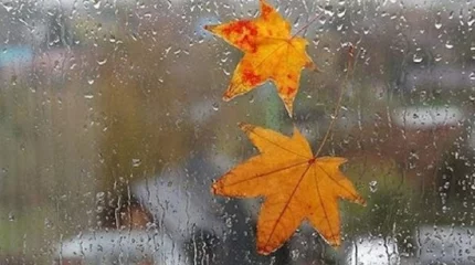 Алдағы күндері күн салқындайды