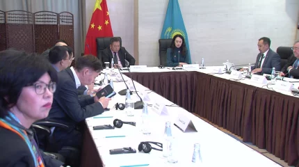 Объединяя усилия: страны ШОС строят экологическое будущее вместе