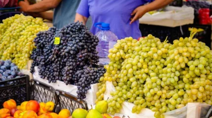 Сезон ярмарок: 650 тонн продуктов привезут в Астану фермеры Кызылординской и Актюбинской областей