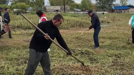 Экологическая акция «Таза бейсенбі» партии AMANAT прошла в селе Бастаушы Восточного Казахстана