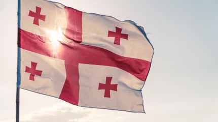 В Грузии задержан лидер крупнейшей оппозиционной партии