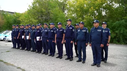 Павлодарда 8 айда 42 адам жол апатынан көз жұмды