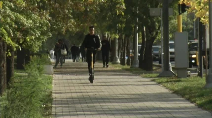 Почти 300 ДТП с электросамокатами произошло в Алматы с начала года