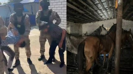 Спецоперацию по задержанию скотокрадов провели на западе Казахстана