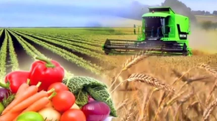 Ауыл шаруашылығының жалпы өнім көлемі 3,4%-ға өсіп, 3,6 трлн теңгеге жетті