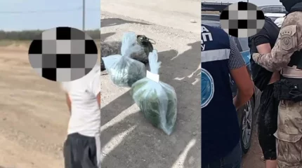 Ұлытау облысында полиция күдіктілерден марихуана тәркіледі