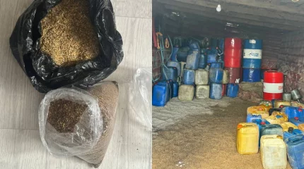 Жанармай ұрлады