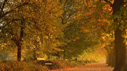 Три дня подряд: сколько выходных ждёт казахстанцев в октябре