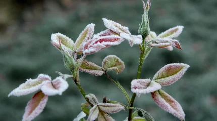 Дожди, грозы и заморозки ожидаются в Казахстане в ближайшие три дня
