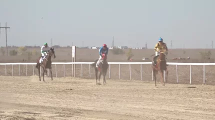 Оралда "Жайық жүйрігі" бәйгесі мәреге жетті