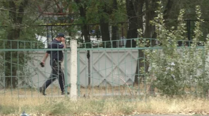 Таразда мектеп оқушысы қаза тапты