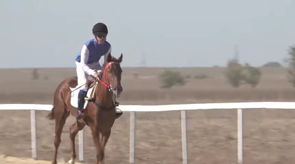 Соревнования по байге - «Жайық жүйрігі-2025» прошли в Уральске