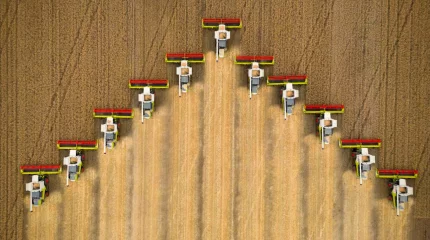 Акимы отчитаются Президенту о ходе уборки