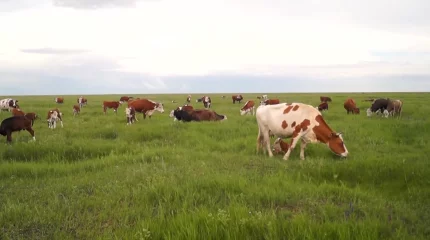 Биыл БҚО-ның ауыл шаруашылығын қолдауға 56 млрд тг бөлінді