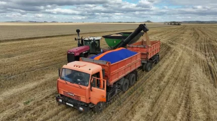 Ақмола облысында биыл 7 млн тонна астық жиналады