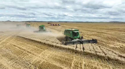 "Под особым контролем" - Президент высказался о развитии сельского хозяйства