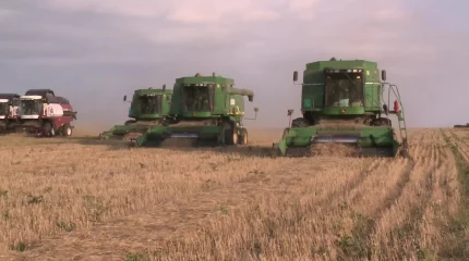 7 млн. тонн зерна планируется собрать в этом году в Акмолинской области