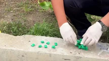 Крупную партию наркотиков изъяли полицейские в Павлодаре