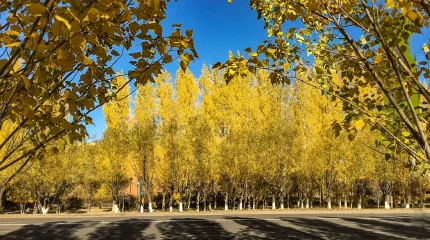 Ауа райы 28 градусқа дейін ысиды