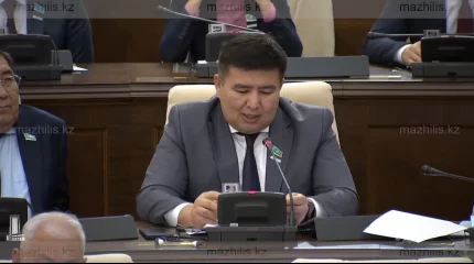 Внедрить антибуллинговые программы в казахстанские школы предложил депутат