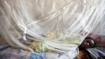 Нигерияда Ласса безгегінен 162 адам қаза тапты