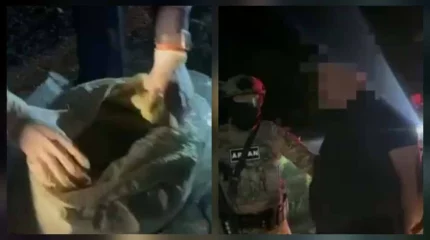 Есірткі сатумен айналысқан отбасы ірі көлемдегі марихуанамен ұсталды