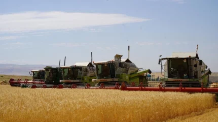 Қазақстанда 12,7 млн тонна астық бастырылды