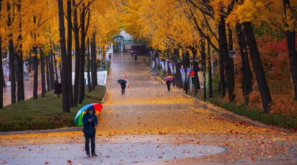 Грозы и похолодание на юге: погода 19 сентября
