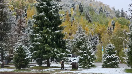 Алдағы бірнеше күнде қар жауып, үсік жүреді