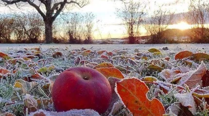 Снег и заморозки: о погоде на выходных рассказали в «Казгидромете»