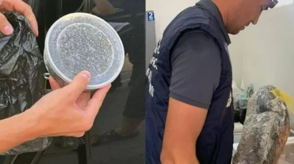 60 келі бекіре балығы тәркіленді