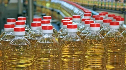 Казахстан увеличил производство растительного масла почти до 600 тыс. тонн