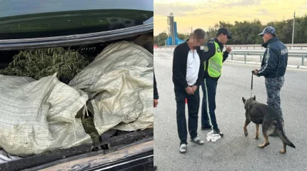 Түркістан облысында полиция есірткі тасымалдаудың 2 дерегін тоқтатты