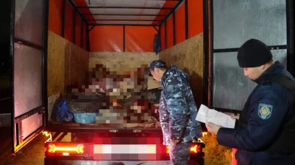 Қарағанды облысында мобильді бекеттер қойылды