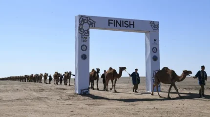 Алматы облысында 1 000 түйеден құралған керуен жүріп өтті