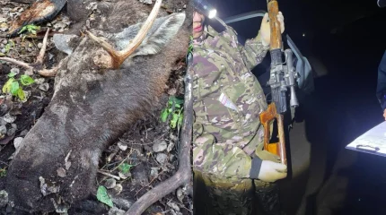 Браконьеров с тушами лося и сайгаков задержала карагандинская полиция