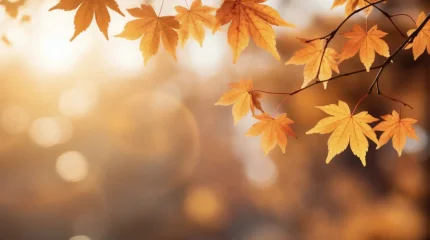 Алдағы күндері күн 28 градусқа дейін жылиды