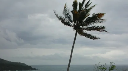 Филиппинге супер тайфун қаупі төніп тұр