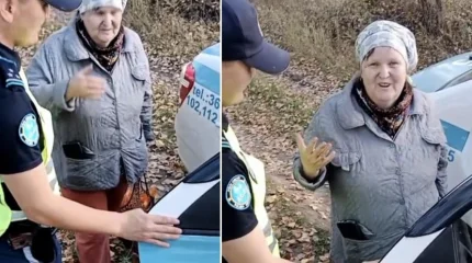 Потерявшуюся пенсионерку нашли в семейском лесу