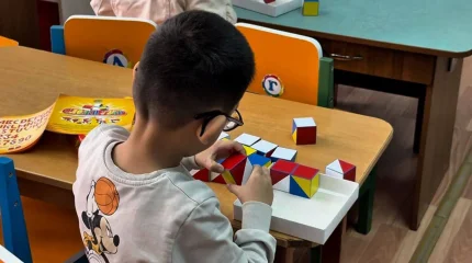 Қазақстанда «Мүмкіндігі шектеулі балаларды кешенді қолдау туралы» Заң әзірленуде