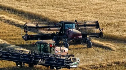 Қазақстан өзін азық-түлік тауарларының негізгі түрлерімен толық қамтамасыз етеді