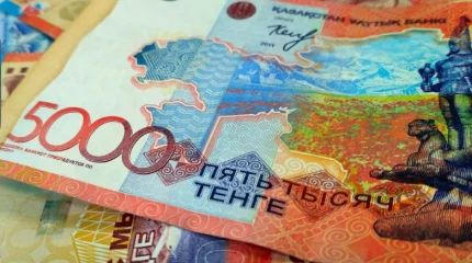 Скрывали доходы и родственников: в Туркестанской области раскрыты факты незаконного получения АСП