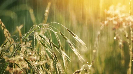 Дожди и понижение температуры ожидаются в Казахстане