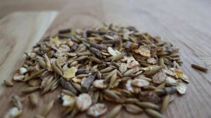 Минсельхоз Казахстана: страна обеспечена кормами на предстоящую зимовку